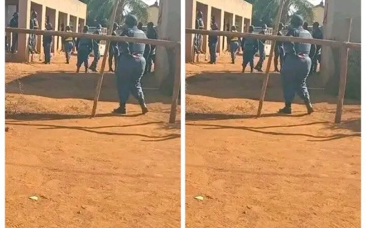 Police Conduct Door-to-Door Document Checks in Zebediela