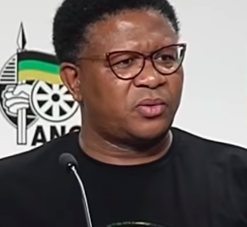 ANC’s Fikile Mbalula Calls for Rule of Law on Illegal Immigration, Faces Public Backlash