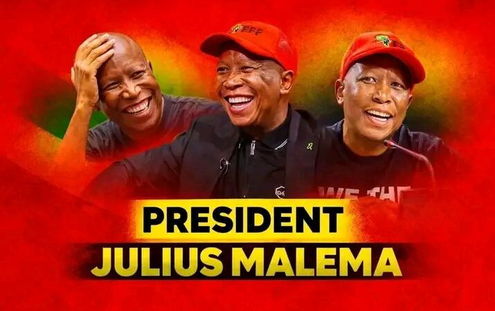Malema s name mentioned in Madlanga Commission