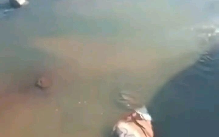 Infants Rescued after being Found in Ditch in Tikakgomo