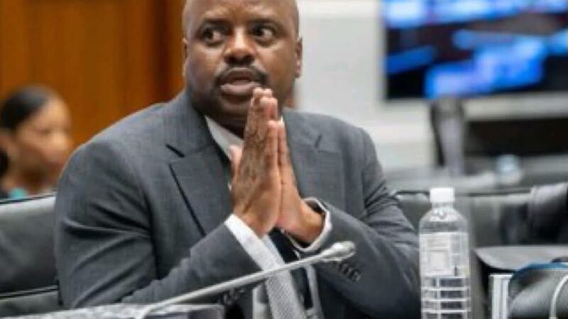 Julies Mkhwanazi fired