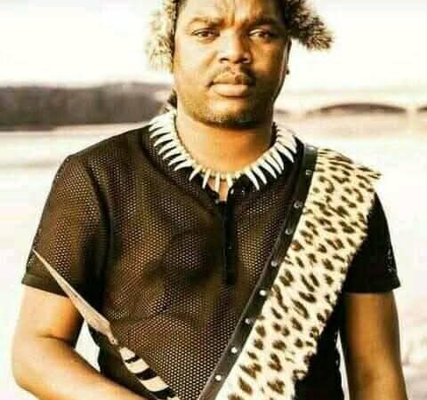 Ngizwe Mchunu Alleges assault by EFF supporters in INanda KZN